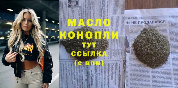 стаф Елабуга