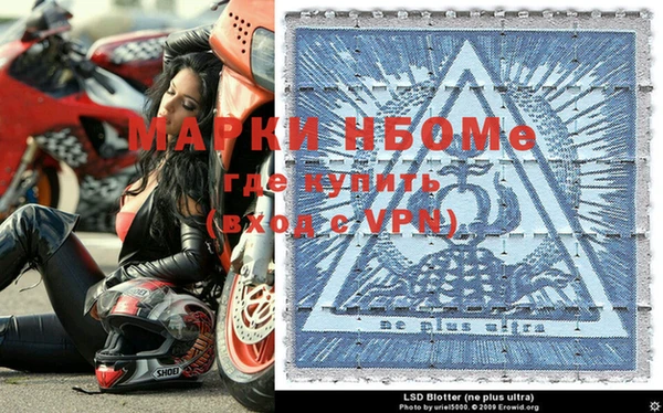стаф Елабуга