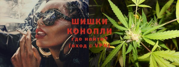 стаф Елабуга